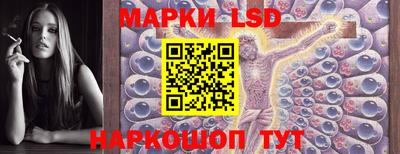 стафф Гай