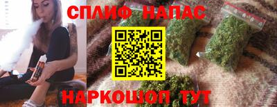стафф Гай