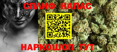 прущие грибы Гагарин