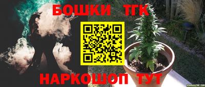прущие грибы Гагарин