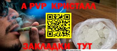 стафф Гай